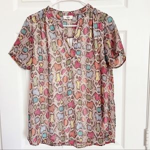 Entro | Multicolor Python Print Sheer Top